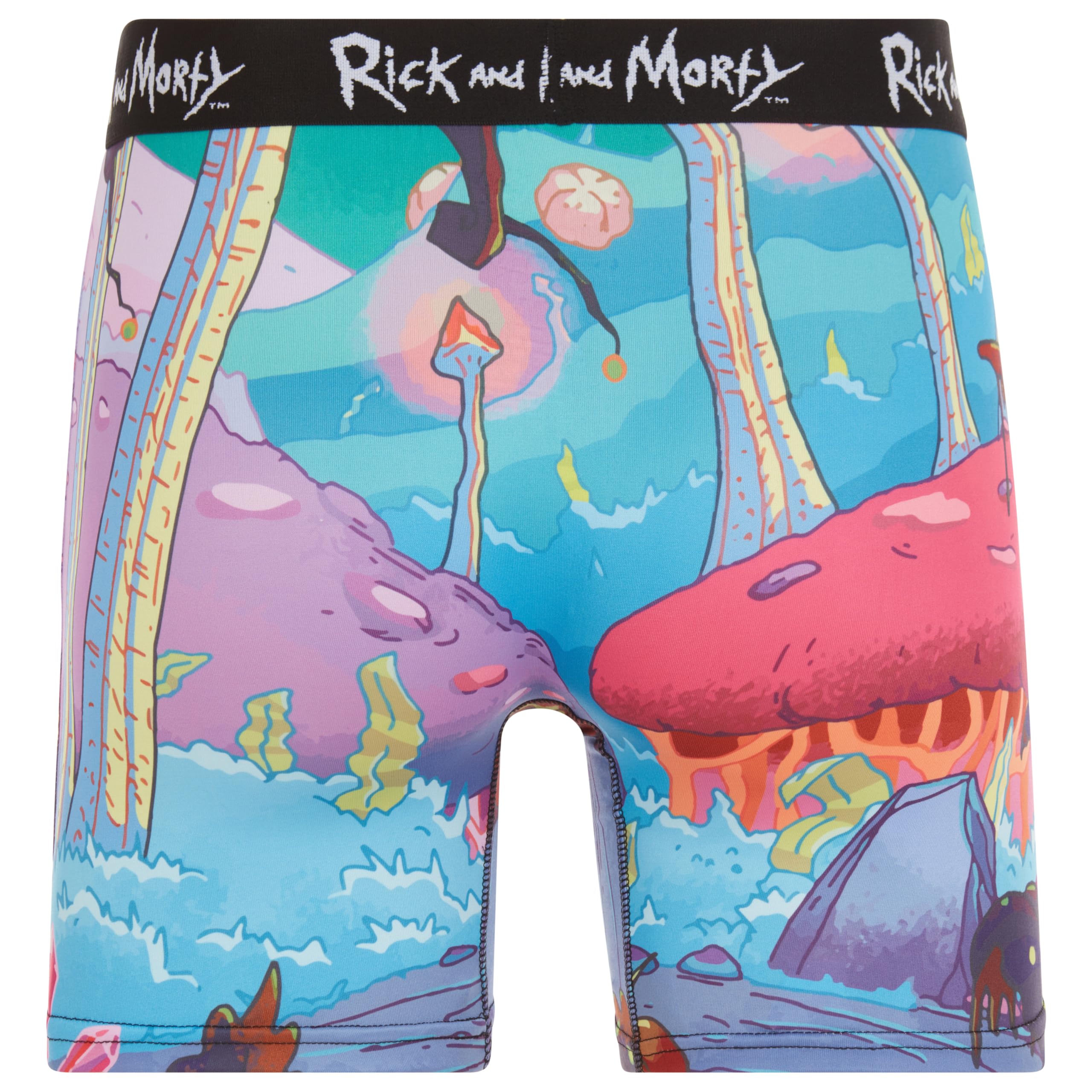 COCO BRANDS Mens Boxer Briefs - Rick and Morty Cotton Lined Crotch No Fly Underwear Boxers for Men with Support Pouch (S-XL)