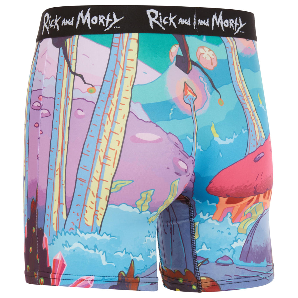 COCO BRANDS Mens Boxer Briefs - Rick and Morty Cotton Lined Crotch No Fly Underwear Boxers for Men with Support Pouch (S-XL)
